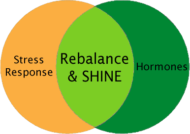 Where stress response and hormones meet with Rebalance and SHINE